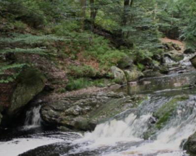 Gite Ardennes Au Coin Du Feu Jacuzzi Sauna Et Nature Jalhay Exteriör bild