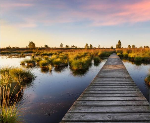 Gite Ardennes Au Coin Du Feu Jacuzzi Sauna Et Nature Jalhay Exteriör bild