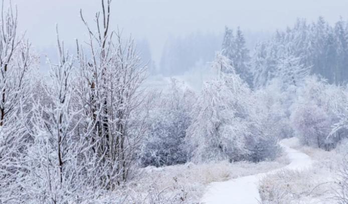 Gite Ardennes Au Coin Du Feu Jacuzzi Sauna Et Nature Jalhay Exteriör bild
